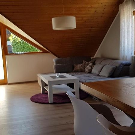 Appartment Sonnenblick Dielheim Екстер'єр фото