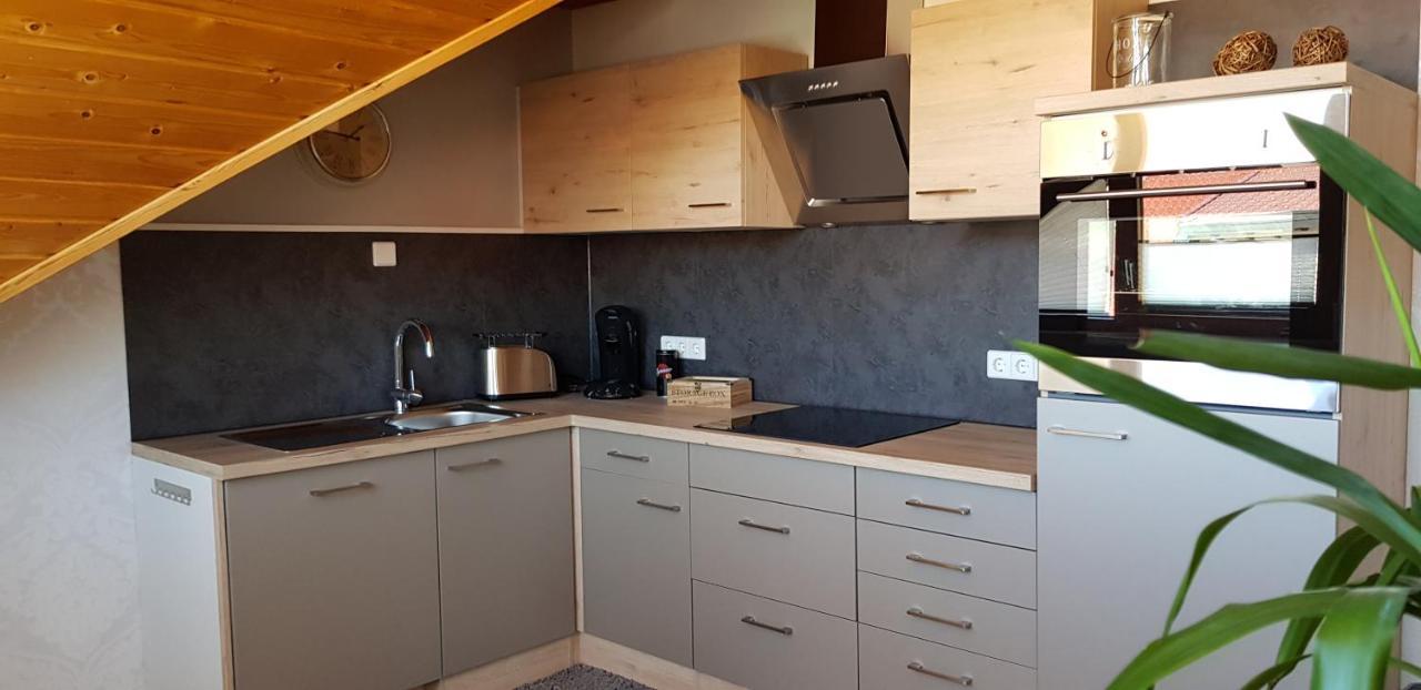 Appartment Sonnenblick Dielheim Екстер'єр фото